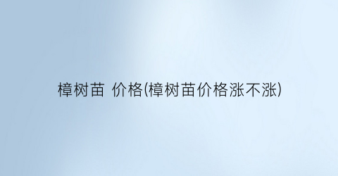 樟树苗 价格(樟树苗价格涨不涨)